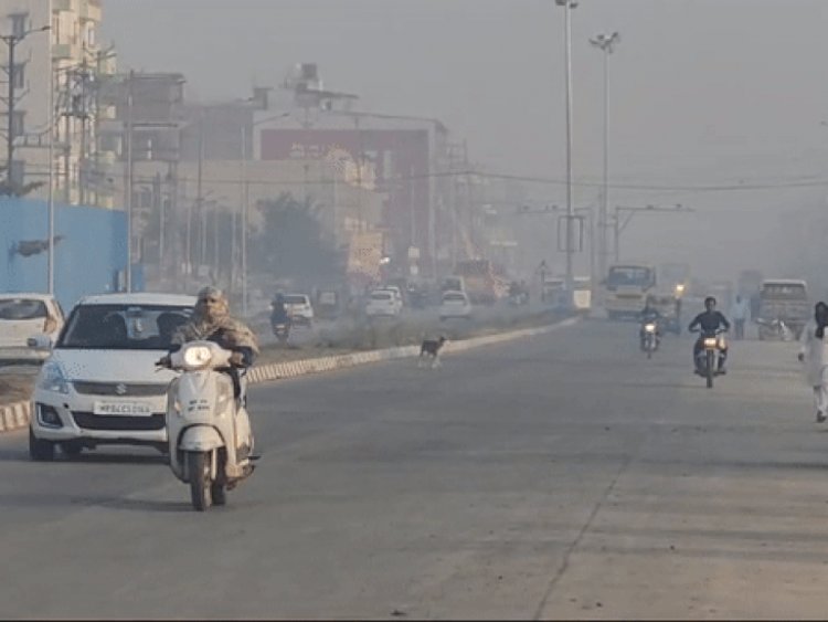 भोपाल में 13.6°, 1000 मीटर बाद कुछ नहीं दिखा:1.9 डिग्री लुढ़का पारा; 10 साल में सातवां सबसे कम टेम्प्रेचर