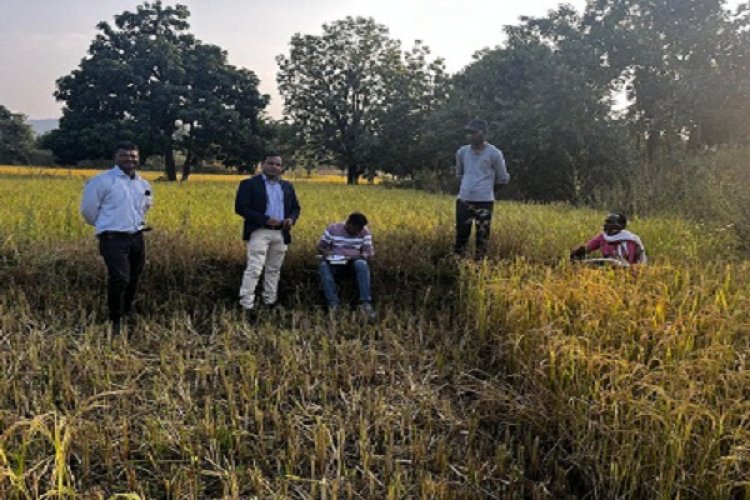 अवैध धान के विक्रय, रिसाइक्लिंग पर रोक लगाने प्रशासन गंभीर