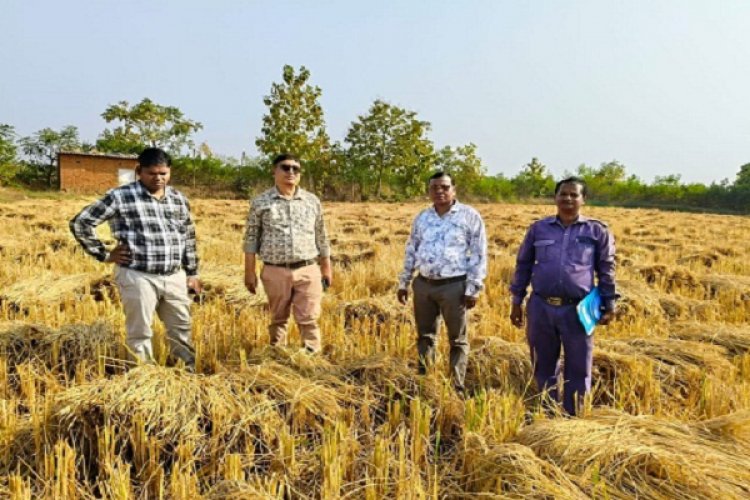 अवैध धान आवक पर रोक लगाने प्रशासन गंभीरता से कर रहा कार्य