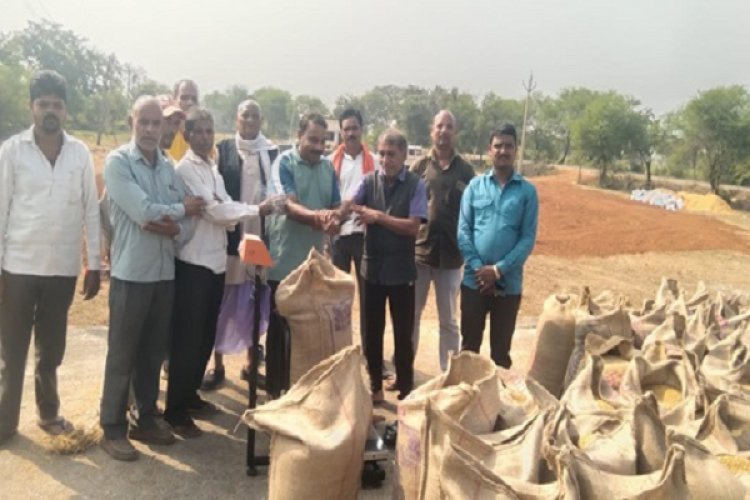 अब तक 96 हजार क्विंटल धान की खरीदी