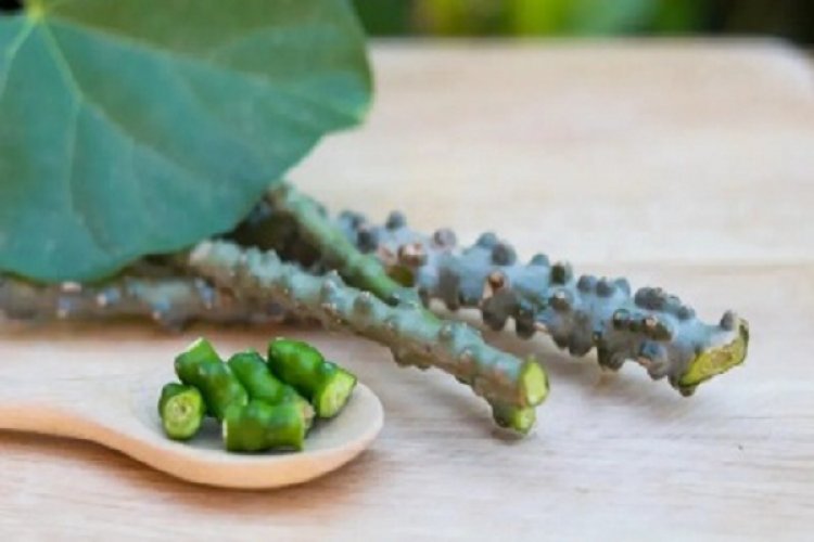 यूरिक एसिड कंट्रोल करने में ये जड़ी-बूटी है फायदेमंद