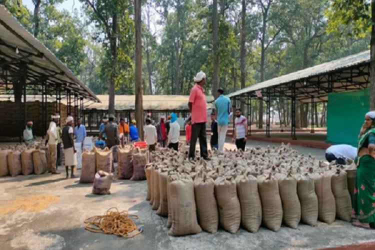 जिले में उचित व्यवस्था के साथ हो रही धान खरीदी