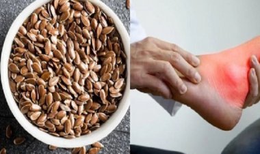 यूरिक एसिड में फायदेमंद है अलसी का बीज