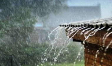 बिन मौसम बारिश