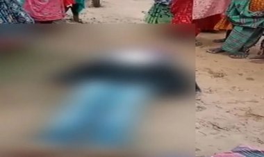 नक्सलियों ने दो पूर्व सरपंचों को उतारा मौत के घाट