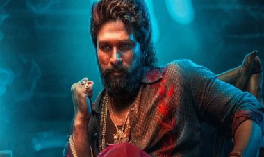 'पुष्पा-2' के हीरो अल्लू अर्जुन को 14 दिन पुलिस कस्टडी, फिल्म स्क्रीनिंग के दौरान भगदड़ का मामला