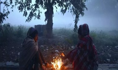 कश्मीर-हिमाचल में बर्फबारी से बढ़ी ठिठुरन, यूपी में लुढ़का पारा, शीतलहर पर IMD ने किया अलर्ट