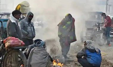 ठिठुर रही दिल्ली, सुबह-शाम धुंध