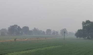 देवास मौसम अपडेट- तापमान में 2 डिग्री की गिरावट:कोहरा छाने से विजिबिलिटी घटी, कुछ दिनों में बारिश की संभावना