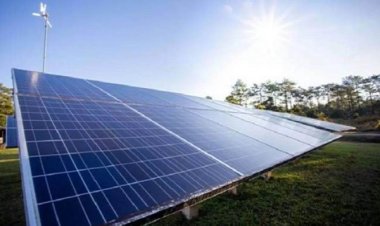 पांच मेगावाट तक सोलर पावर प्लांट लगाओ, मध्य प्रदेश सरकार खरीदेगी बिजली