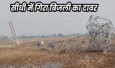 मध्य प्रदेश के सीधी में बिजली टावर गिरने से 3 लोगों की मौत, 7 लोग गंभीर रूप से घायल