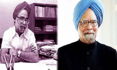 एक्सीडेंटल राजनेता, क्रांतिकारी अर्थशास्त्री