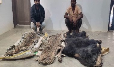 हाथी दांत, तेंदुआ और भालू की खाल तस्करी में पांच आरोपी गिरफ्तार