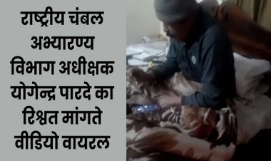 'घाट से 7 लाख लाओ, DFO, CCF को देने के बाद मुझे बचेगा डेढ़ लाख...', घूसखोरी का वीडियो वायरल