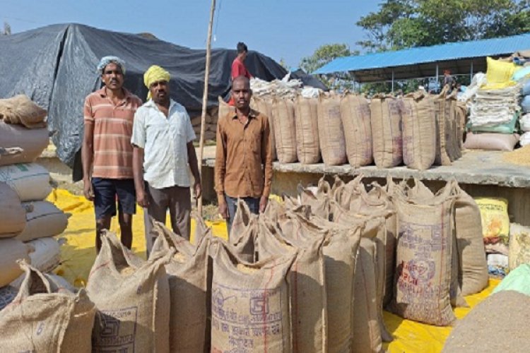 अच्छी फसल और अच्छा कीमत पाकर खुश है तीन भाई