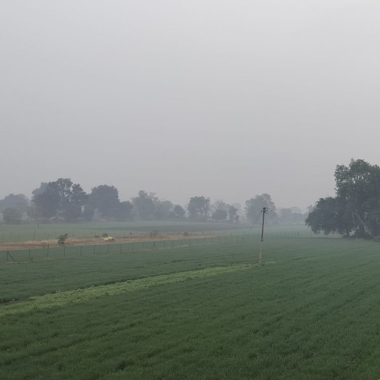 देवास मौसम अपडेट- तापमान में 2 डिग्री की गिरावट:कोहरा छाने से विजिबिलिटी घटी, कुछ दिनों में बारिश की संभावना