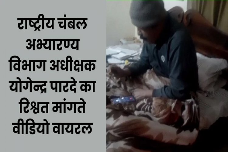 'घाट से 7 लाख लाओ, DFO, CCF को देने के बाद मुझे बचेगा डेढ़ लाख...', घूसखोरी का वीडियो वायरल