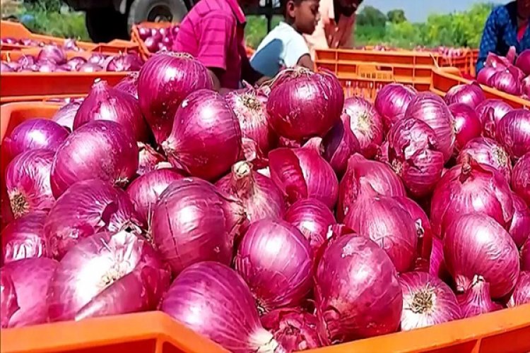 प्याज के दामों में 50% गिरावट से आम आदमी खुशी, लेकिन… किसान बोले- हमारे निकल रहा दिवाला