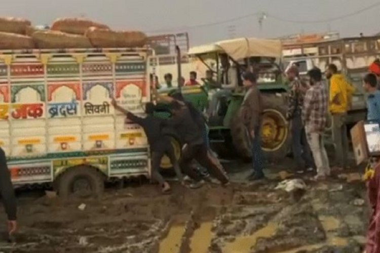 एमपी की पहली मटर मंडी दो दिन की बारिश में दलदल में तब्दील, एक करोड़ रुपए की मटर खराब, कई वाहन फंसे
