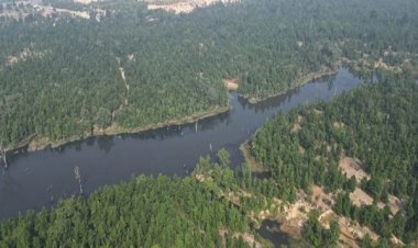 छत्तीसगढ़ ने रचा नया कीर्तिमान