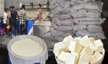 निमोरा में 4000 किलो नकली पनीर जब्त