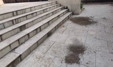 खौफनाक: पार्क में खून से लथपथ मिली युवती की लाश, सीने पर चाकू से किए गए वार; चेहरा देख दहल उठा लोगों का कलेजा