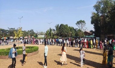 नववर्ष पर नंदनवन जंगल सफारी बना आकर्षण का केंद्र