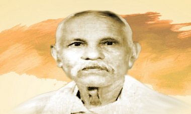 मुख्यमंत्री ने साहित्यकार लोचन प्रसाद पाण्डेय की जयंती पर किया नमन