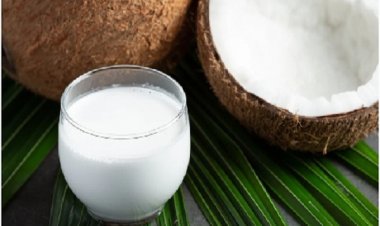 सर्दियों में रोज पीएं एक गिलास नारियल का दूध