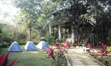 प्राकृतिक पर्यटन : वन चेतना केन्द्र मनगट्टा में वन्य जीवों के स्वतंत्र रूप से विचरण करने का आनंद ले रहे सैलानी