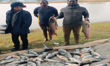 मत्स्य पालन ने बदली बसंत की जिंदगी, लाखों में हो रही कमाई