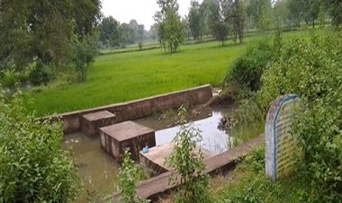 मनरेगा से चेक डेम निर्माण कर संचित पानी से किसान ले रहे है फसल