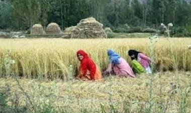 ग्रामीण महिलाओं के समृद्धि की ओर बढ़ते कदम