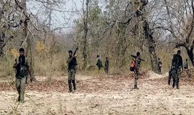 बीजापुर के बाद सुकमा में थी बड़े नक्सली हमले की साजिश, जवानों की सूझबूझ से हुई नाकाम