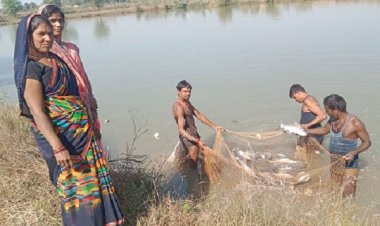 सखी सहेली समूह ने मछली पालन से बदली जिंदगी