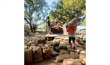 जिले में अब तक 218203.80 मीट्रिक टन हुई है धान खरीदी