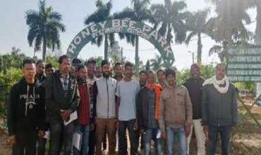 अतिरिक्त पैसा कमाने मधुमक्खी पालन में बढ़ रही किसानों की रुचि