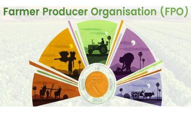 छत्तीसगढ़ में फार्मर्स प्रोड्यूसर ऑर्गेनाइजेशन: वस्तुस्थिति, संभावना और चुनौतियां...