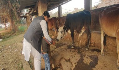 जीवदया के साथ भगवान महावीर जन्म कल्याणक महोत्सव का आगाज