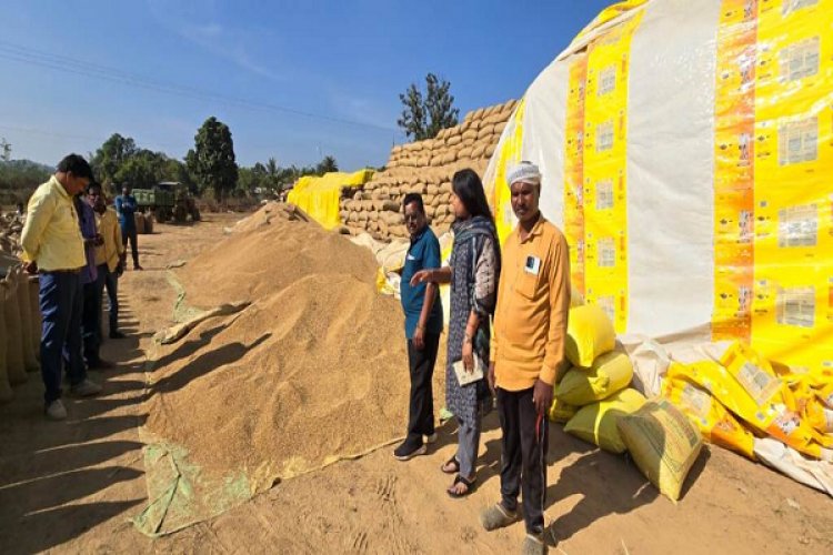 पटेवा तहसील में 50 कट्टा अवैध धान जब्त