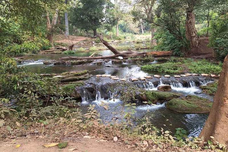 सैर-सपाटे के साथ पिकनिक का नया डेस्टिनेशन तिरिया