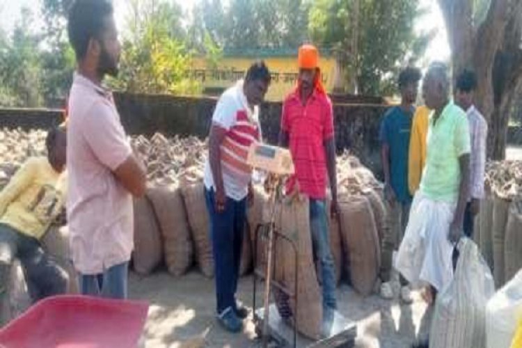 जिले के 23 हजार से अधिक किसान अब तक बेच चुके हैं अपना धान