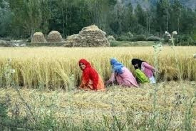 ग्रामीण महिलाओं के समृद्धि की ओर बढ़ते कदम