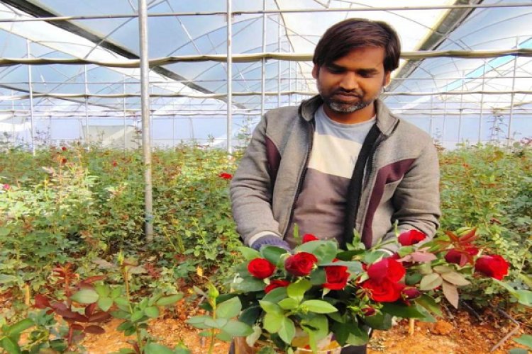 गुलाब की खेती से महक रहा है एबी अब्राहम का जीवन