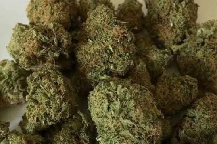 83 किलो गांजा के साथ तस्कर गिरिफ्तर