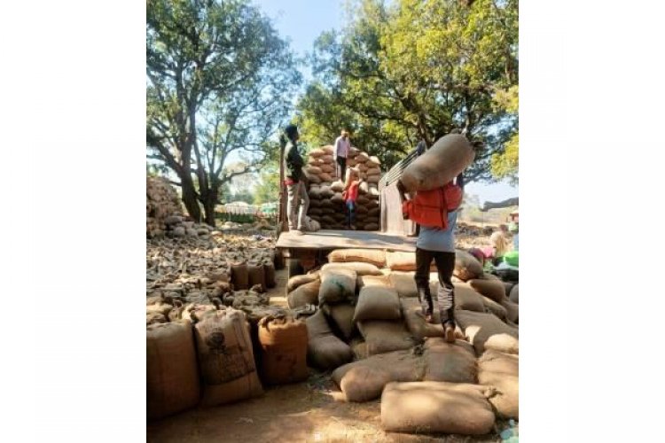 जिले में अब तक 218203.80 मीट्रिक टन हुई है धान खरीदी