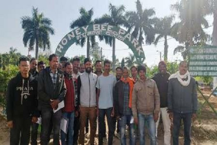 अतिरिक्त पैसा कमाने मधुमक्खी पालन में बढ़ रही किसानों की रुचि