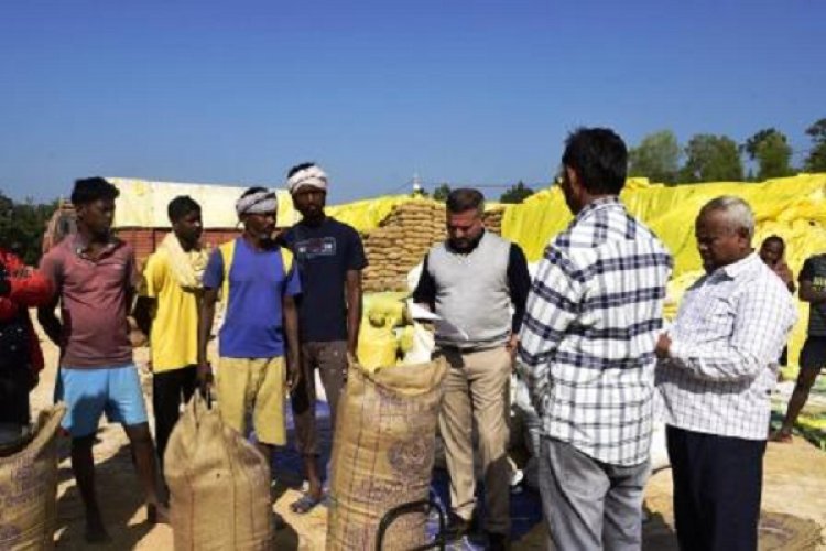 कलेक्टर ने ब्लाक लुण्ड्रा के धान उपार्जन केन्द्रों का लिया जायजा