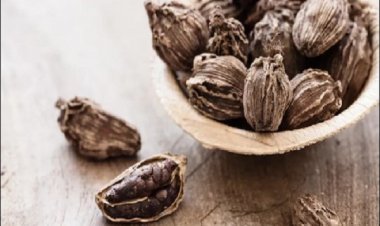 बड़े काम की है बड़ी इलायची