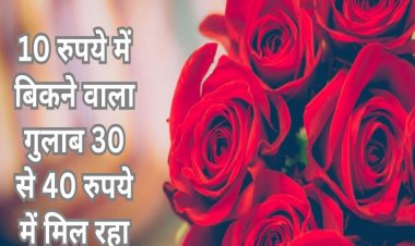वैलेंटाइन डे पर खिला प्यार, गुलाब के दामों में आया जबरदस्त उछाल